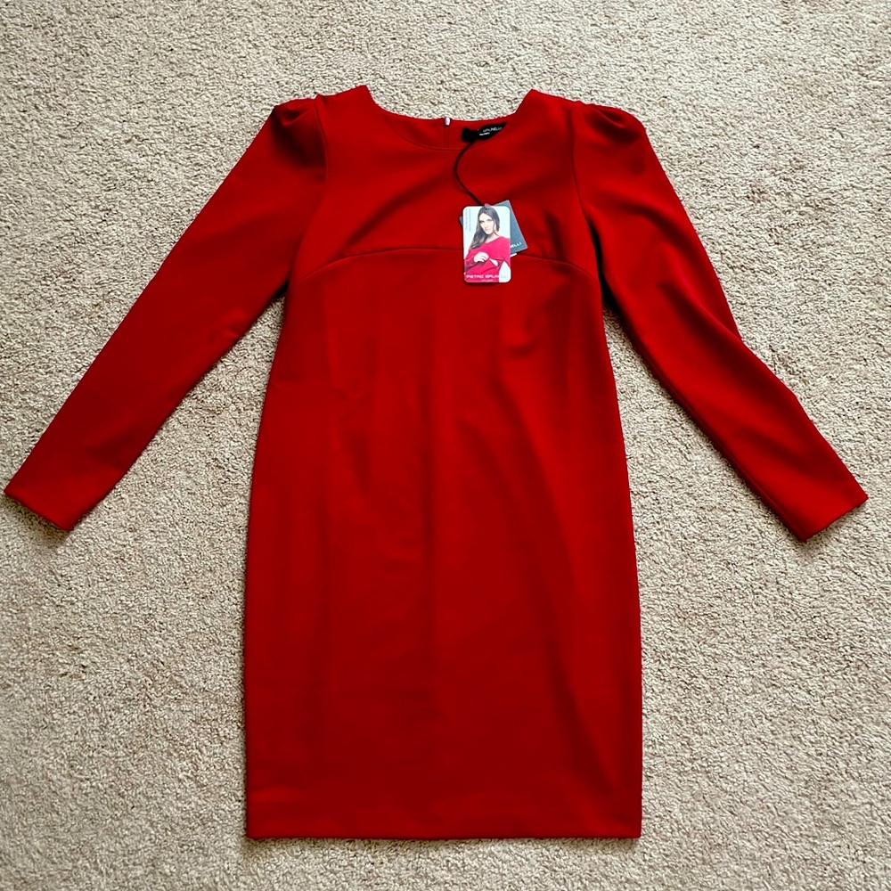 Maternity/Nursing dress NWT